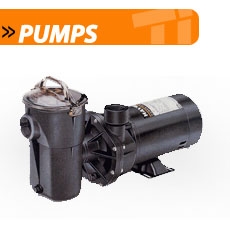 Swimming Pool Pumps